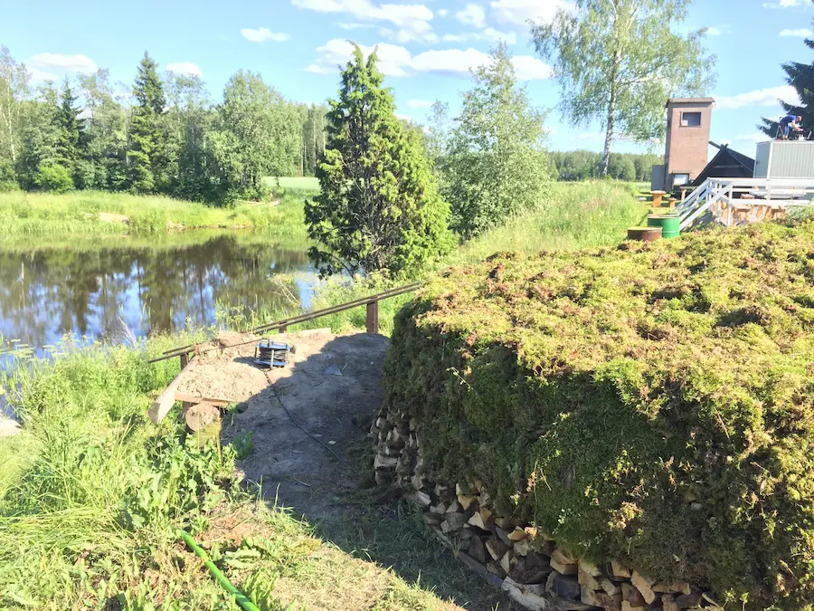 Tervahauta peitettynä sammaleella