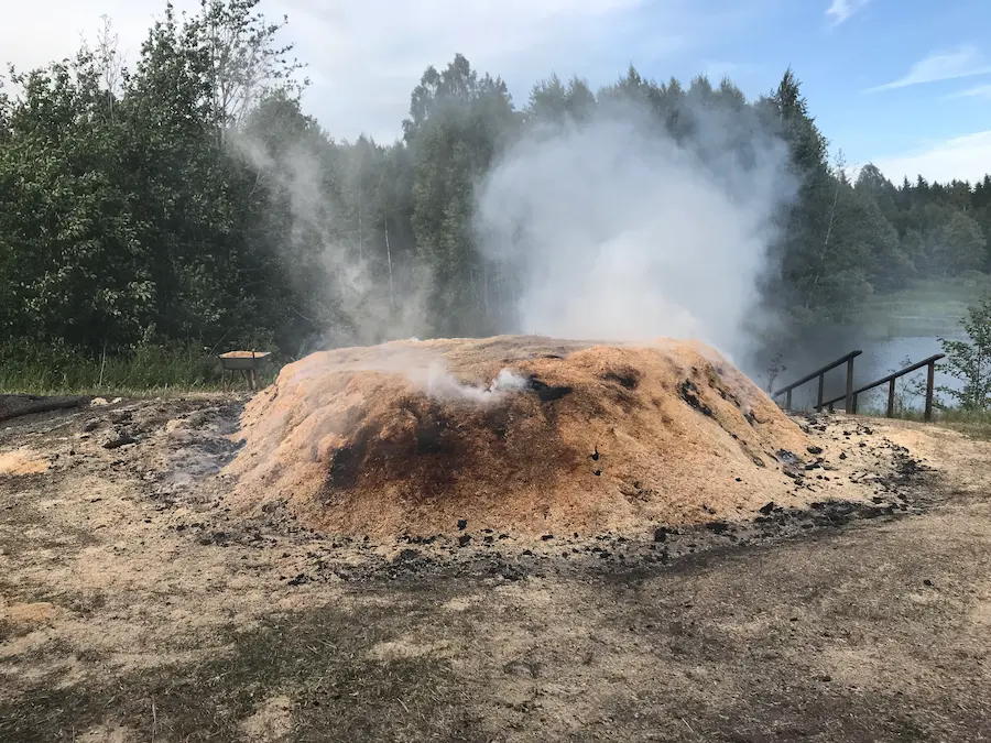 Tervahauta tukahdutettu sahanpurulla